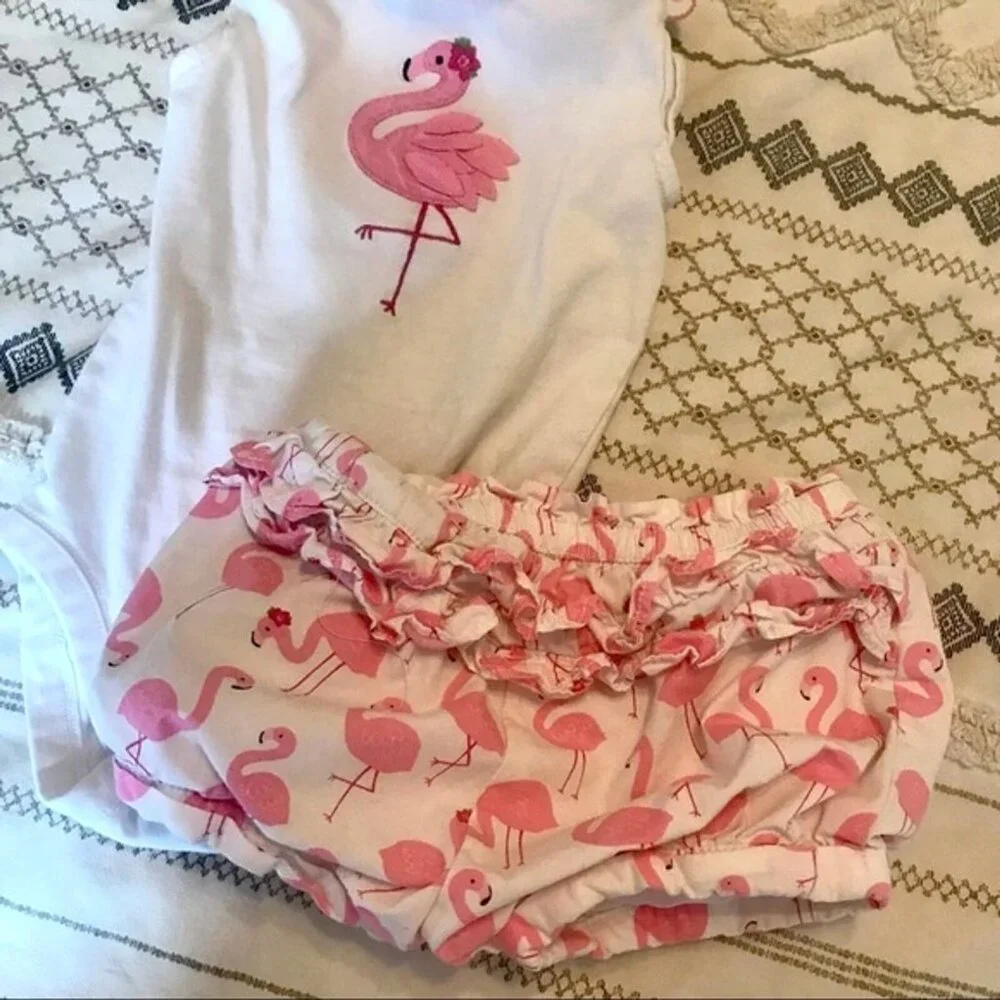 Baby Girl Clothing Bundle Bodysuits, Shorts, Flamingo Outfit. Size 12 months‎